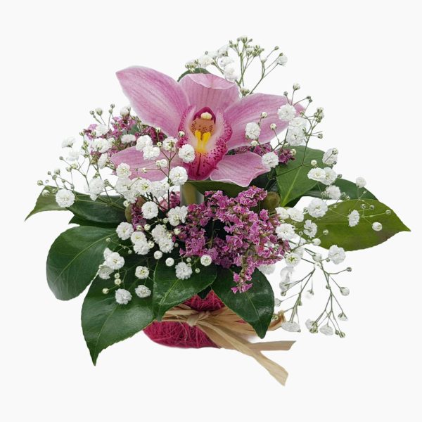 Orquídea De Calle En Centro