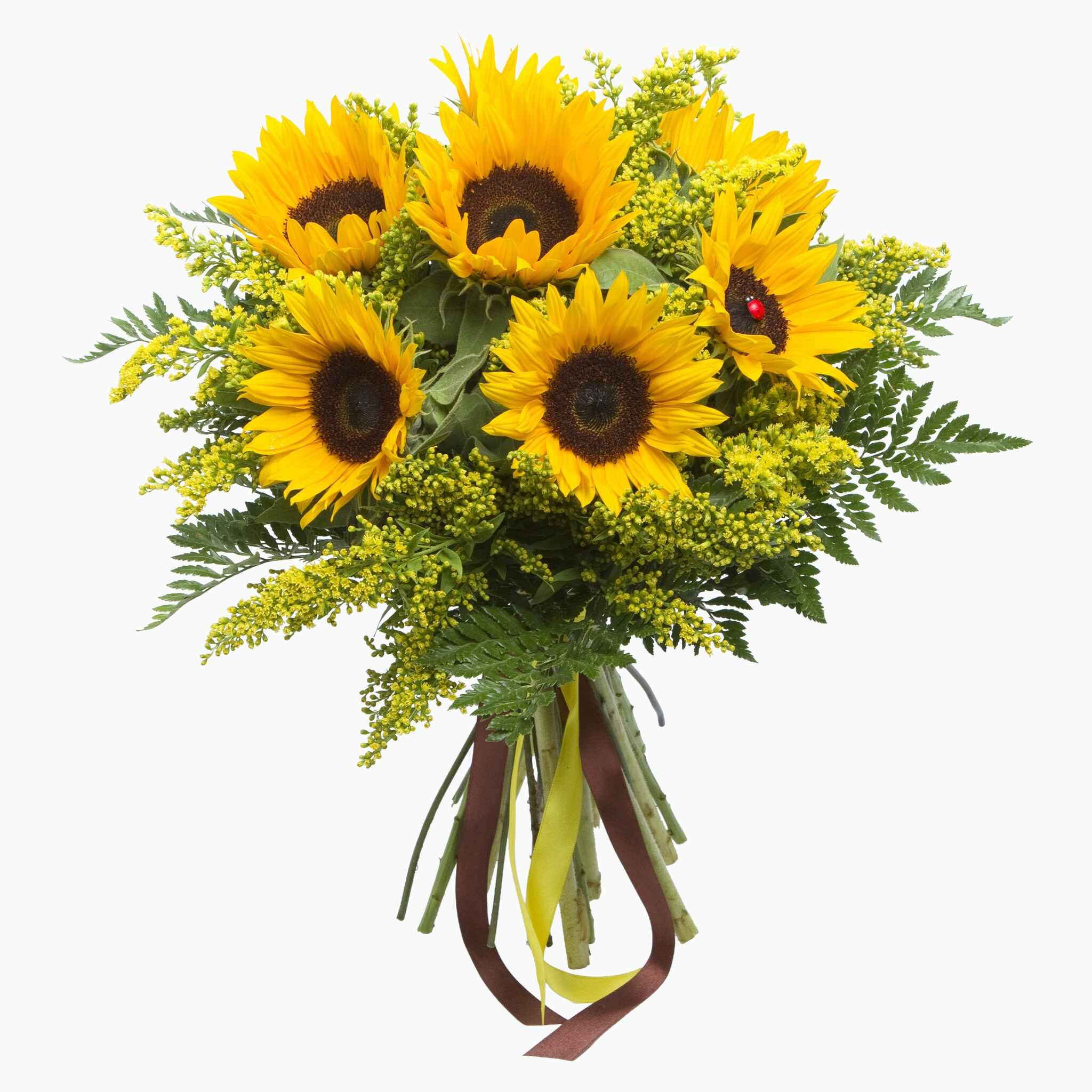 Ramo De Girasoles Frescos